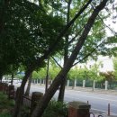 대인종합건설(주) 이미지