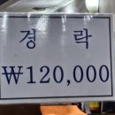 으뜸경락 이미지