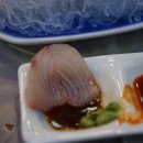 완도회타운 이미지