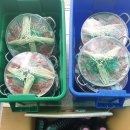 매력한우 기찬랜드 명품관 이미지