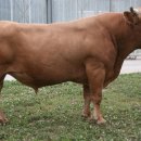 한우나라 이미지