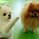 성지유치원 이미지