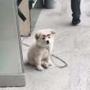 (주)하운드팟 | 생일이 싫은 사람