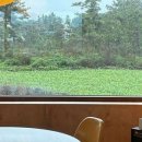 투스노스 이미지