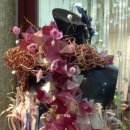 바디플라워 이미지