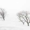 명산목장 이미지