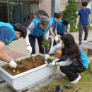 춤새마을 이미지