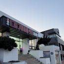 대게마트 | [포항] 구룡포 대게 제철에 다녀온 구룡포대게마트 솔직 후기