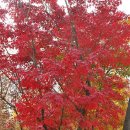 농업체험공원 이미지