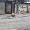 이문보건진료소 이미지