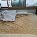 믿음세탁 이미지