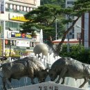 청도읍사무소 이미지