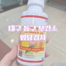 동구 보건소 | 대구 동구 보건소에서 임당검사 후기 / 임당검사 시기, 방법, 금식, 결과