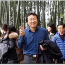 맹종죽테마파크1 이미지