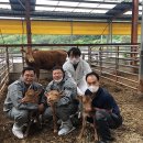 쌍둥이축산 이미지