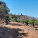 석문공단자동차 이미지