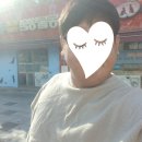 판교종합 동물병원 이미지