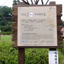 용미3리 티스토리