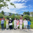 꿈에그린유치원 이미지