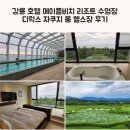 염전길 | 강릉 호텔 메이플비치 리조트 수영장 디럭스 자쿠지 룸 헬스장 후기