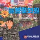 늘봄꽃화원 Daum카페