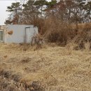 노진5리 경로당 | &amp;&amp;경기 화성시토지(전)경매투자문의-2019타경503671, 화성시 토지(전)경매♠♠경기 화성시 장안면...