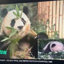 황후빌 이미지
