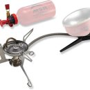 Body picnic 이미지