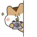 박선생역사교실(인물한국사) 이미지