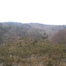 김진근농장 이미지