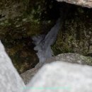 얼음골 봄 이미지