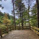 킴스오토 | 엉클킴스 | 포천 오토캠핑장 9월 후기 서울 근교 경기도 캠핑장 추천