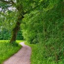 동막골 쉼 이미지