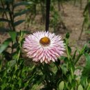 문평119안전센터 이미지