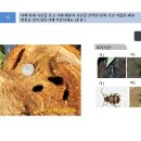 식물보호기사 실기 모의고사16 이미지