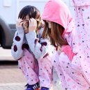 고연