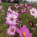 노동3리 이미지