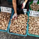 성덕상회 이미지