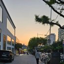 리디아 동물병원 이미지