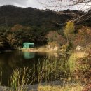 무라카데칼국수 네이버블로그
