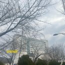 CU선학중앙점 | 편입 후 간호학과 생활 #1