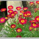 청암공원 이미지