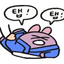 화서주짓수 네이버블로그