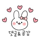 빵이모제과점 이미지