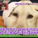 하이디