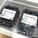 선유농장 이미지