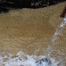 웅구농장 이미지