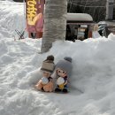 리상 | 3박 4일, 3월의 삿포로여행❄️ 2DAY [아사히카와맛집/생강라멘/미즈노/몽벨/비에이투어렌트/청의호수/흰...