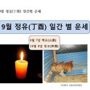 9월 운세 정유(丁酉) 월 일간별 이미지