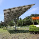 승주태양광 이미지